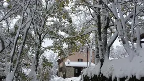 Fattoria La Guedrara - Image 2