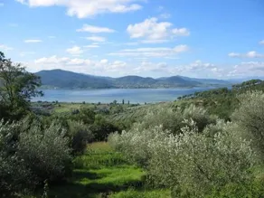La Frontiera - Image 4