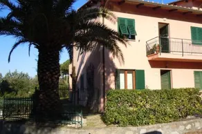 Le palme - Image 5