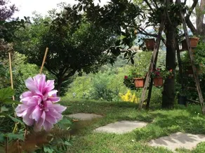 L'Acacia B&B - Image 4