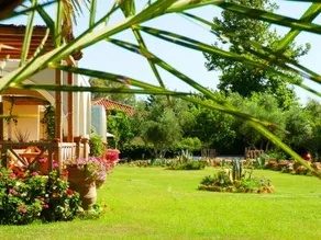 Trikalioti's Estate - Image 3