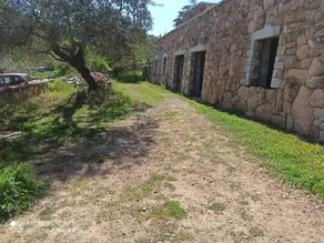Appartamento immerso nel verde - Image 4