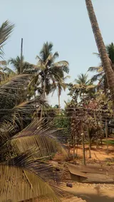 Shiva Ashvem Hotel - Image 5