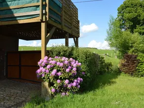 A comfortable house in the region of the Belgian Luxemburg - Image 2