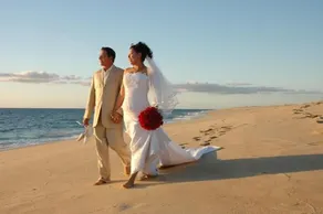Serendipity - Image 5