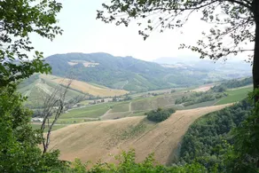 Charming 1-bed Apartment in Castell'arquato - Image 3
