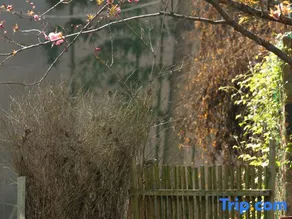 Yucun Xiaozhu·Moganshan Garden Town B&B - Image 3