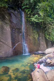 Jungle River - Image 3