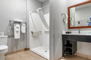 Econo Lodge Inn & Suites Demopolis - Image 4