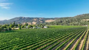 Chianti by Avantstay Stunning Secluded Ranch w/ Pickleball Court & Barn - Image 5