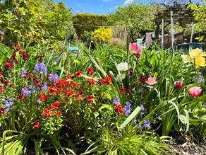 Rie's Retreat - Image 4