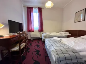 Hotel Restauracja Witnica - Image 4