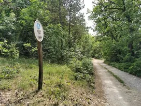 Cseri Kastely - Image 4