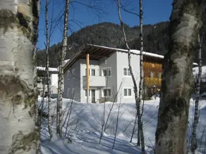 Alpen Chalet Eben - Image 2