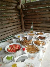 Горска къща в Елена Петроф хоф - Image 5