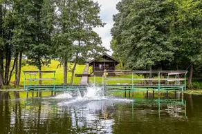 Holland Park - Image 4