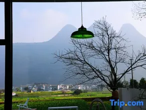 Xingyi WanfengLin jielu Homestay - Image 5