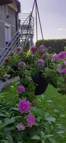 Apartament Jutrzenka - Image 3