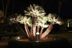 Residence Villa La Pineta - Image 2