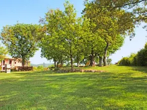 Locazione Turistica Oak.1 - Image 5