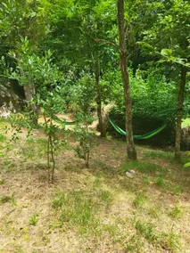El Bosque Magico De Pria - Image 3