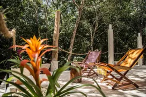 La Selva Mariposa - Image 4