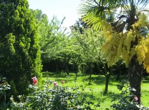 B&B Cristina - Image 5