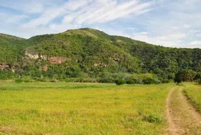 Wellvale Resort - Image 5