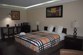 APM Inn & Suites - Image 3