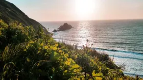 Sf Ocean View Rentals - Image 2