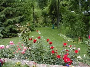 Dorchester House Bed And Breakfast - Image 5