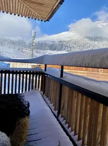 the NEST flims - Image 5