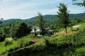 Bosco Delle Rune ..Un Angolo Di Paradiso - Image 5
