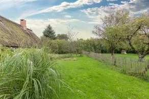 Reetdachhaus Zur Sandkuhle - Image 3