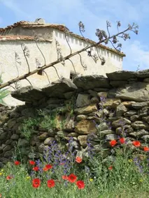 El Marqués, magnífica casa rural con piscina - Image 3