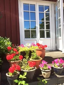 Summeslov B&B - Image 4