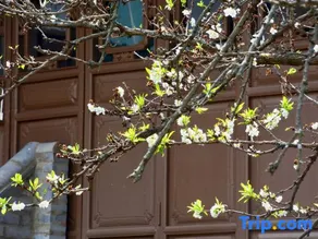 WeiShan Ancient City Ruoyu Beiyuan Homestay - Image 3