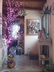 Fiori E Coccole - Image 4