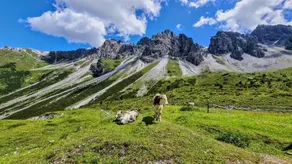 Landhaus Tyrol - Image 4