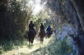 Pantalica Ranch - Image 2
