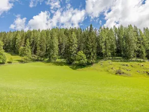 Holiday Home in Bad Kleinkirchheim - Image 5
