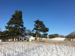 Clos des Caillettes - Image 5