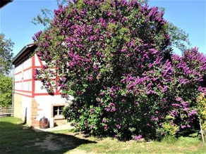 Cottage Das Kleine GlÜck - Image 3