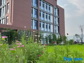 Zhanfa Wisdom Hotel - Image 5