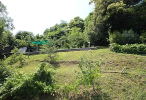Ca' Balmelli With Shared Pool - Image 5