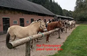 De Riekhoff - Image 3
