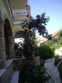 Alex Studios & Apartments - Image 4