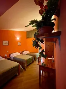 Orchidea - Image 4