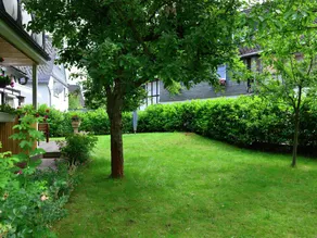 Bright Apartment in the Sauerland With Conservatory, Large Terrace and Awning - Image 4