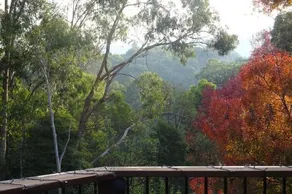 Yarra Ranges Country Apartment - Image 3